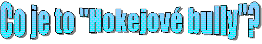 Co je to "Hokejov bully"?