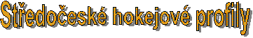 Stedoesk hokejov profily