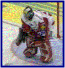 Hronek v extralize